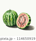 カットされたスイカ 114650919