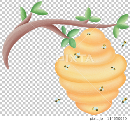 beehive on branch beehive on branch 114650950