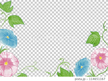 夏季簡約牽牛花牽牛花插畫框架設計素材水彩畫 夏季簡約牽牛花牽牛花插畫框架設計素材水彩畫 114651167
