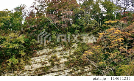 山の駅 養老渓谷 喜楽里(きらり)の老川路頭 山の駅 養老渓谷 喜楽里(きらり)の老川路頭 114651233
