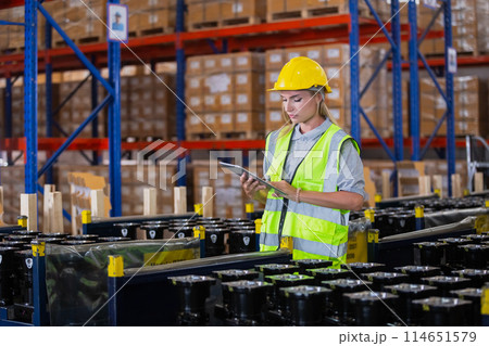 Female professional using tablet quality checking car parts worker in warehouse. Female professional using tablet quality checking car parts worker in warehouse. 114651579