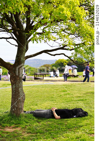 公園で寝る男 公園で寝る男 114652029