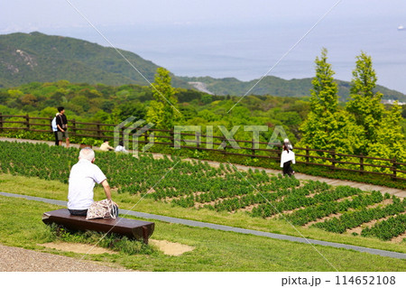 公園のベンチで独り座る高齢者 114652108