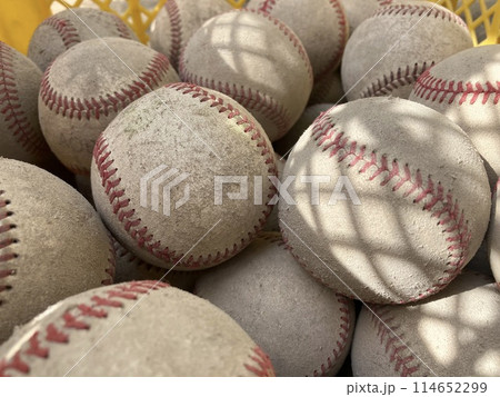 公式野球 公式野球 114652299