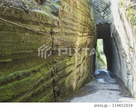 燈龍坂大師 燈龍坂大師 114652819