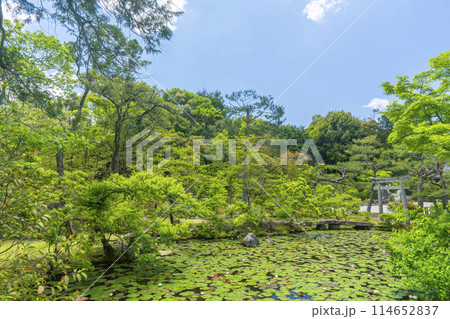 京都　金地院　弁天池と鎮守堂（弁天社） 114652837