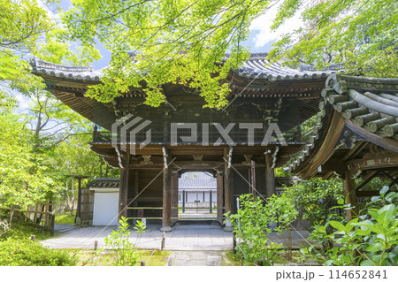 京都 金地院楼門 京都 金地院楼門 114652841
