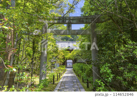 京都 金地院楼門 東照宮へ向かう参道 京都 金地院楼門 東照宮へ向かう参道 114652846