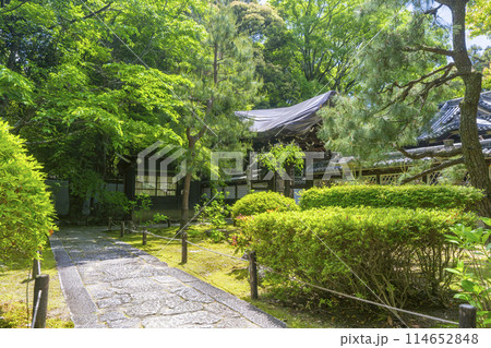 京都 金地院 御透門 東照宮へ向かう参道 京都 金地院 御透門 東照宮へ向かう参道 114652848