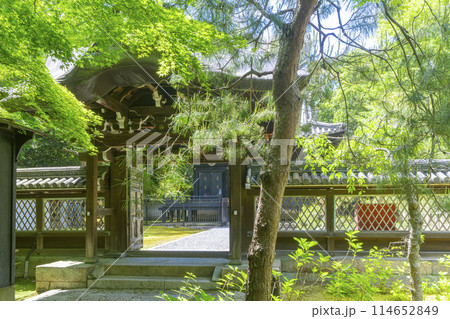京都　金地院　御透門　東照宮へ向かう参道 114652849