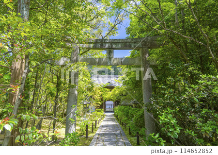 京都　金地院楼門　東照宮へ向かう参道 114652852