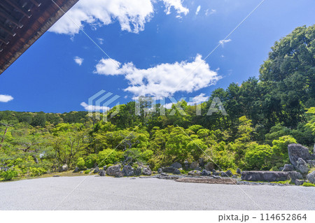 京都 金地院 青空に映える鶴亀の庭 京都 金地院 青空に映える鶴亀の庭 114652864