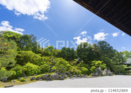 京都　金地院　方丈から見える鶴亀の庭 114652869