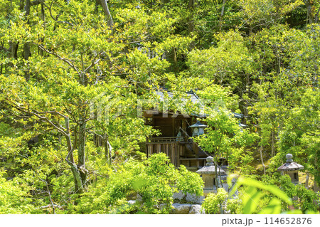 京都　金地院　弁天池と弁天社（鎮守堂） 114652876