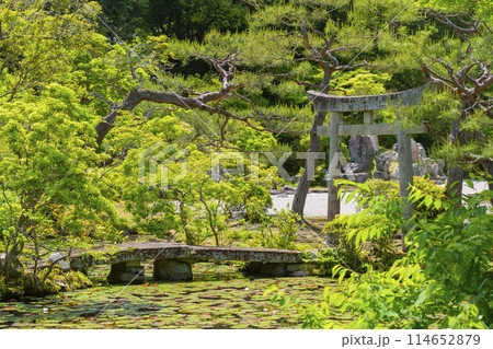 京都　金地院　弁天池と弁天社（鎮守堂） 114652879