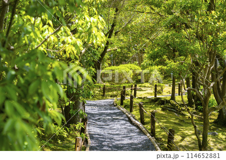 京都 金地院 楼門へ向かう参道 京都 金地院 楼門へ向かう参道 114652881