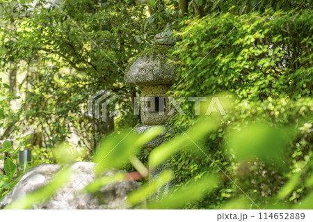 京都　金地院　東照宮参道　風情ある石灯籠 114652889