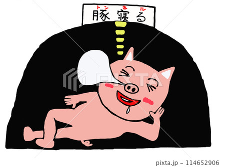 　(豚寝る)トンネルで寝る豚　 114652906