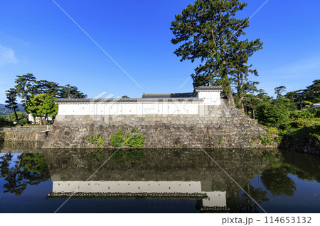 神奈川県小田原市小田原城址の春・初夏（晴れ） 114653132