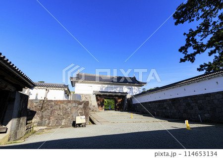 神奈川県小田原市小田原城址の春・初夏(晴れ) 神奈川県小田原市小田原城址の春・初夏(晴れ) 114653134
