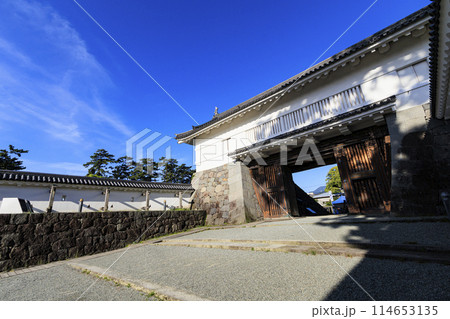 神奈川県小田原市小田原城址の春・初夏(晴れ) 神奈川県小田原市小田原城址の春・初夏(晴れ) 114653135