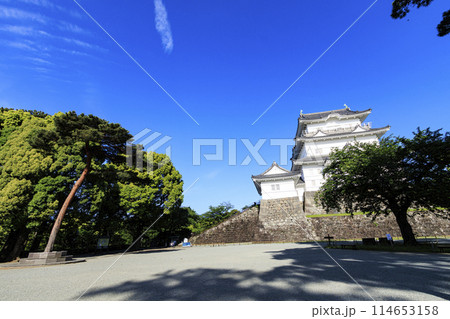 神奈川県小田原市小田原城址の春・初夏(晴れ) 神奈川県小田原市小田原城址の春・初夏(晴れ) 114653158