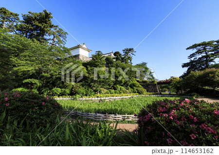 神奈川県小田原市小田原城址の春・初夏（晴れ） 114653162