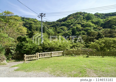 5月の富津市の山中の風景 114653181