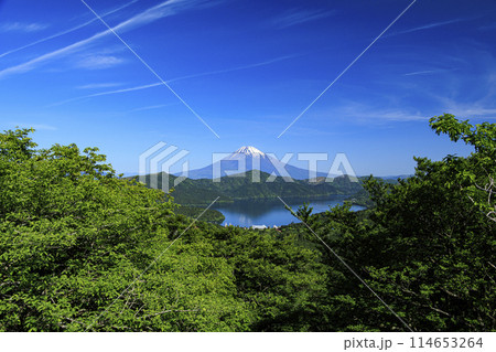 神奈川県足柄下郡箱根町の富士見峠から見た芦ノ湖と富士山 神奈川県足柄下郡箱根町の富士見峠から見た芦ノ湖と富士山 114653264