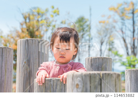 公園の遊具・アスレチックで遊ぶ・運動する女の子 114653882