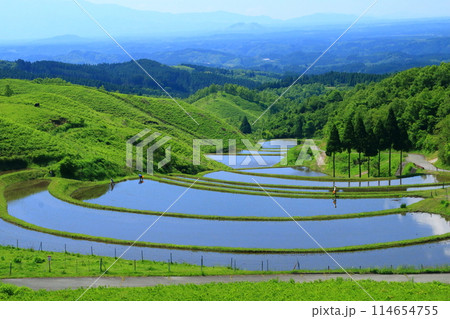 初夏の扇田(熊本県産山村) 初夏の扇田(熊本県産山村) 114654755