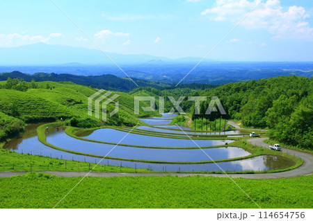 初夏の扇田(熊本県産山村) 初夏の扇田(熊本県産山村) 114654756