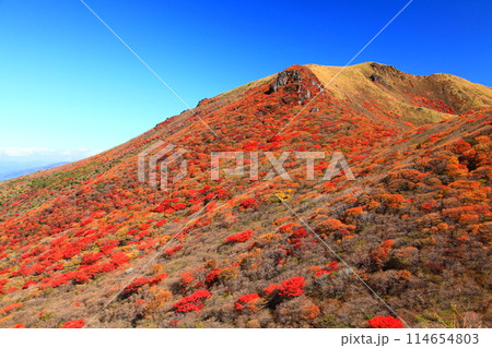 秋の星生山（くじゅう連山） 114654803