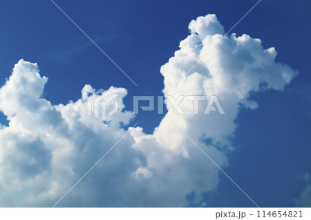 青空に現れた入道雲が大きく不気味に発達してきている 青空に現れた入道雲が大きく不気味に発達してきている 114654821