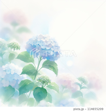 梅雨 紫陽花の手描き水彩風イメージ 梅雨 紫陽花の手描き水彩風イメージ 114655209
