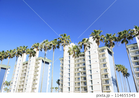青空に映えるヤシの木の神奈川県三浦市小網代のリゾートマンション 青空に映えるヤシの木の神奈川県三浦市小網代のリゾートマンション 114655345