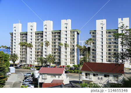青空に映えるヤシの木の神奈川県三浦市小網代のリゾートマンション 114655346