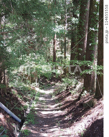 迦葉山 弥勒寺　参道	 114655558