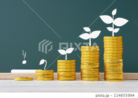 コインと黒板に描かれた芽の成長―資産が育つイメージ 114655994