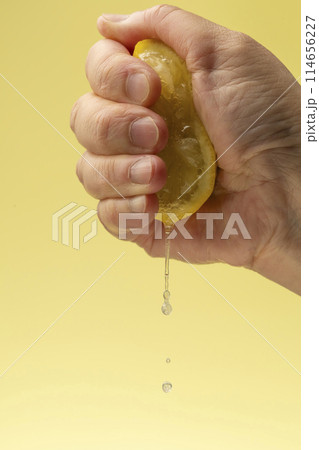 レモンを絞る　黄色背景 114656227