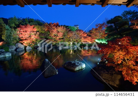 好古園の水面に映る紅葉 114656431
