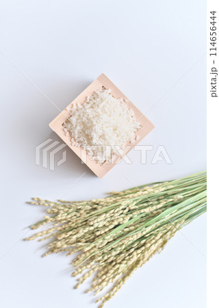 升に入ったお米(米粒)と稲穂 114656444
