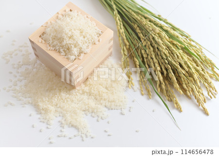 升に入ったお米(米粒)と稲穂 114656478