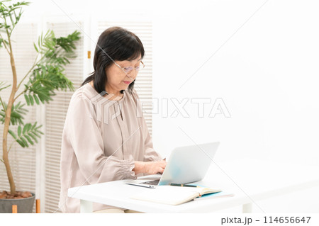 シニア女性　パソコン 114656647