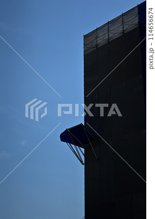 建設工事中のビルに設けられたアサガオ 建設工事中のビルに設けられたアサガオ 114656674