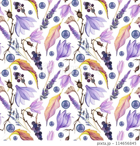 Hand drawn watercolor illustration shabby boho botanical flowers leaves. Crocus saffron rose hip veronica lavender berries. Seamless pattern isolated on white background. Design wedding, paper fabric Hand drawn watercolor illustration shabby boho botanical flowers leaves. Crocus saffron rose hip veronica lavender berries. Seamless pattern isolated on white background. Design wedding, paper fabric 114656845