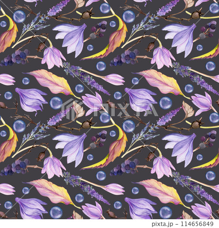 Hand drawn watercolor illustration shabby boho botanical flowers leaves. Crocus saffron rose hip veronica lavender berries. Seamless pattern isolated on dark background. Design wedding, paper fabric Hand drawn watercolor illustration shabby boho botanical flowers leaves. Crocus saffron rose hip veronica lavender berries. Seamless pattern isolated on dark background. Design wedding, paper fabric 114656849