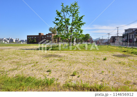 九州大学箱崎キャンパス跡地　九大跡地　箱崎キャンパス跡地　スマートシティ計画 114656912