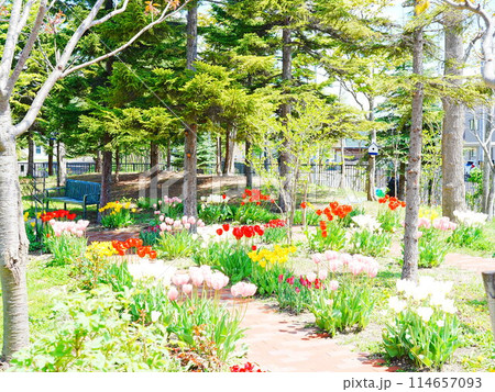 北海道のガーデン ロイズガーデン  114657093