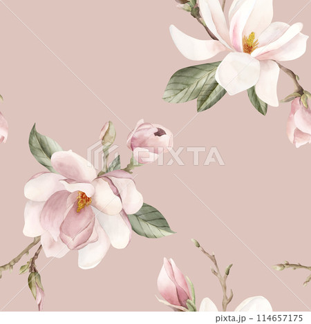 Light pink magnolia flower, buds, sprigs and leaves. Watercolor floral seamless pattern on peach pink background. Spring blossom for floral fabric, cosmetic packaging, wrapping paper and home textile Light pink magnolia flower, buds, sprigs and leaves. Watercolor floral seamless pattern on peach pink background. Spring blossom for floral fabric, cosmetic packaging, wrapping paper and home textile 114657175
